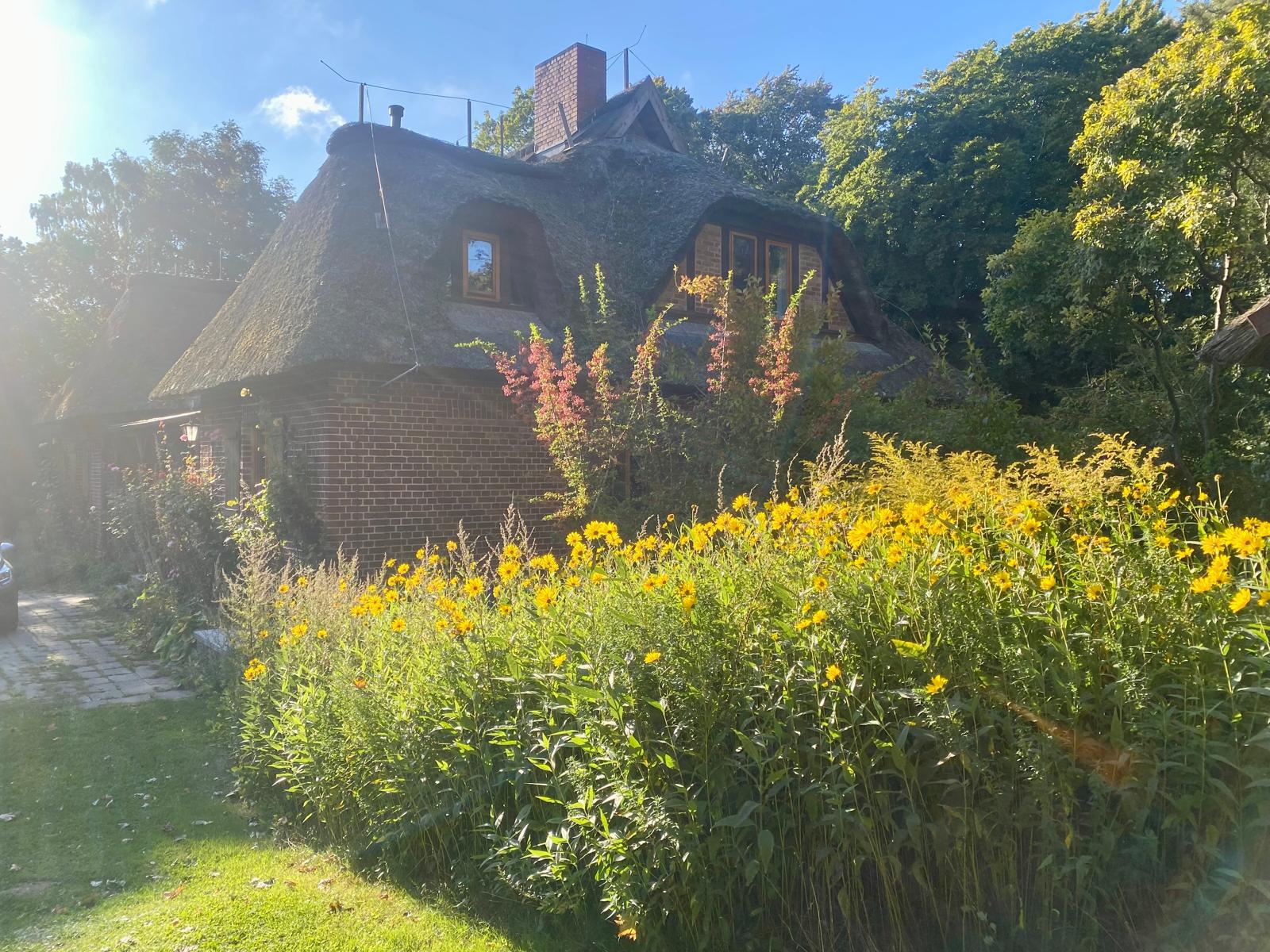 Nardevitz auf Rügen