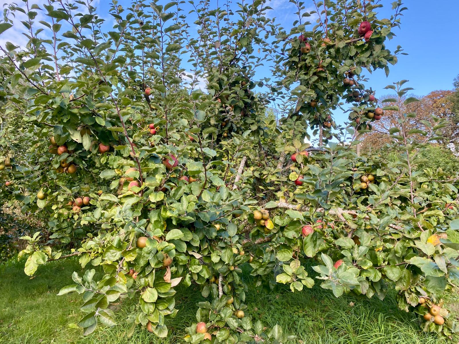 Nardevitz auf Rügen