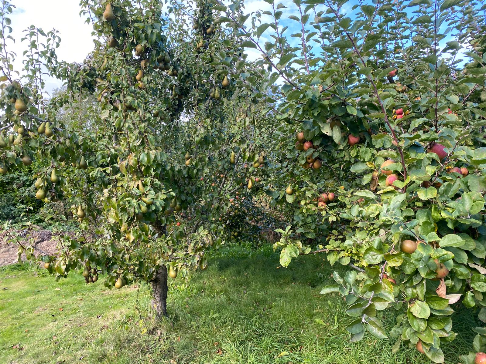 Nardevitz auf Rügen