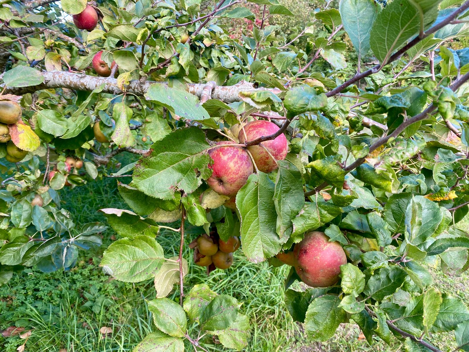 Nardevitz auf Rügen
