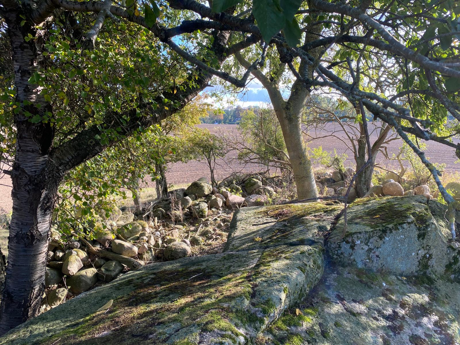 Nardevitz auf Rügen