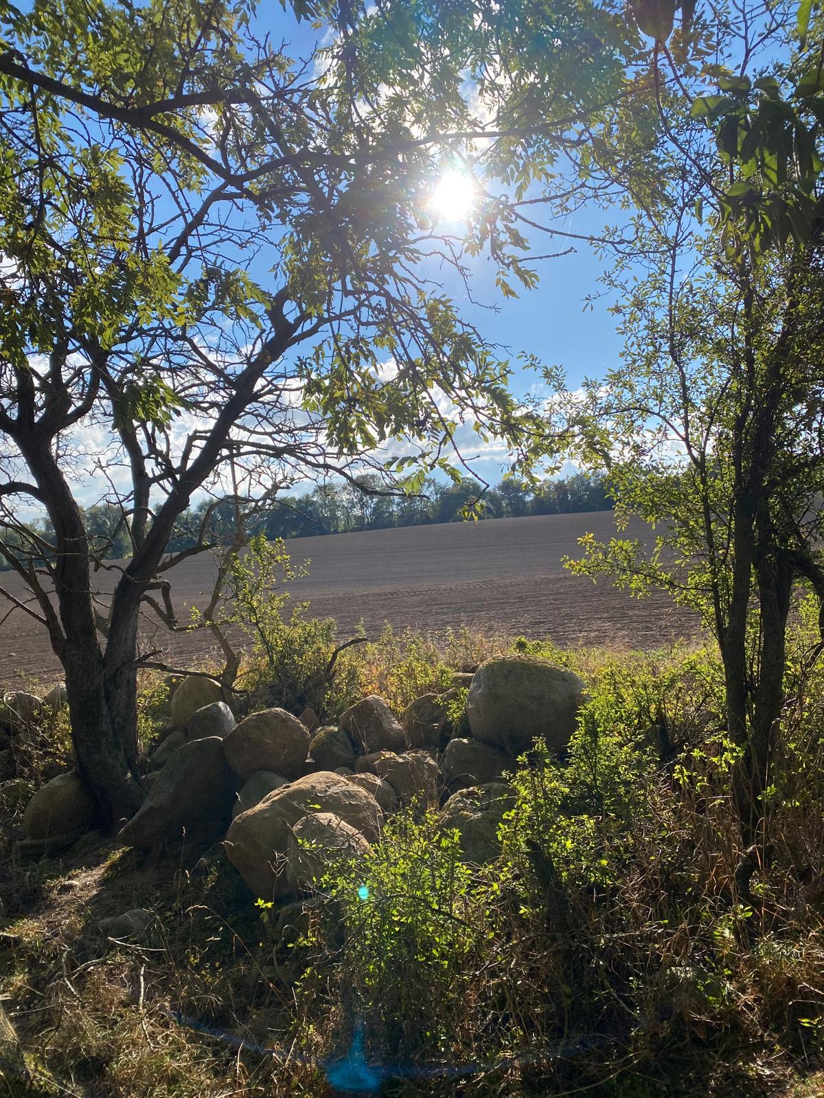 Nardevitz auf Rügen
