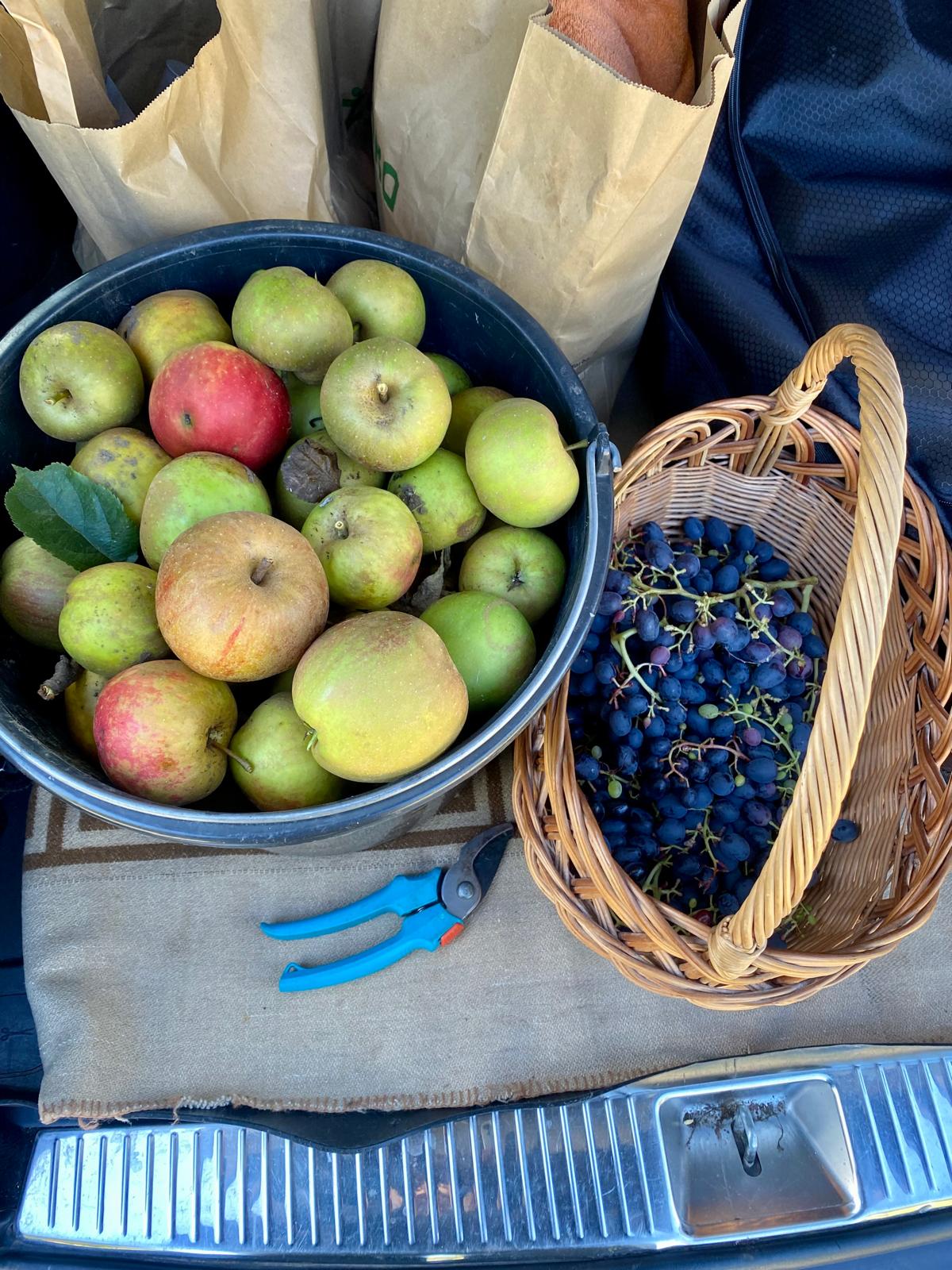 Nardevitz auf Rügen